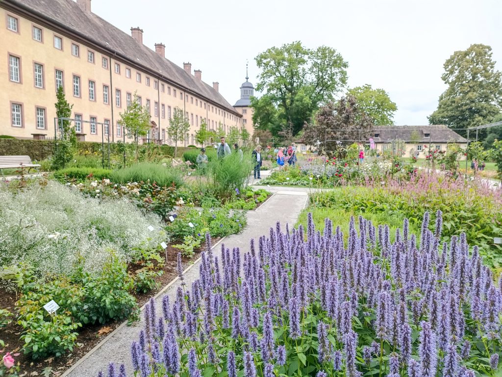 Remtergarten_Schloss_Salbei_quer