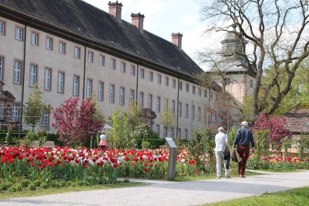 Remtergarten_Schloss_rote_Tulpen_Besucher