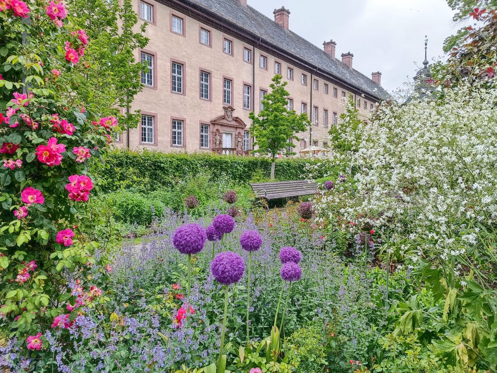 Remtergarten_Rosenbogen_Schleierkraut_Schloss